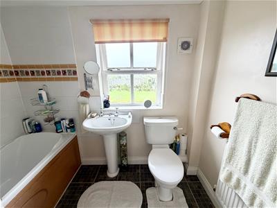 Picture 21